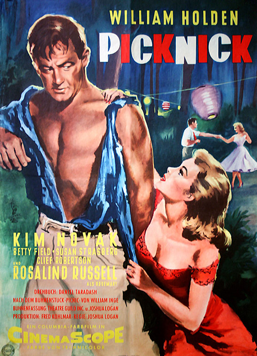 Plakat zum Film: Picknick