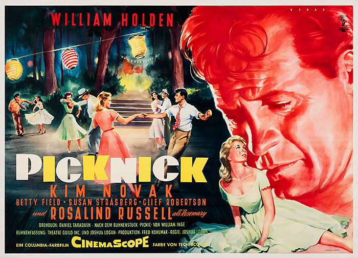 Plakat zum Film: Picknick