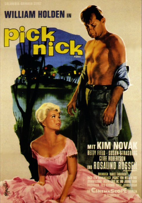 Plakat zum Film: Picknick
