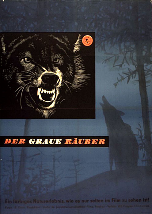 Plakat zum Film: graue Räuber, Der