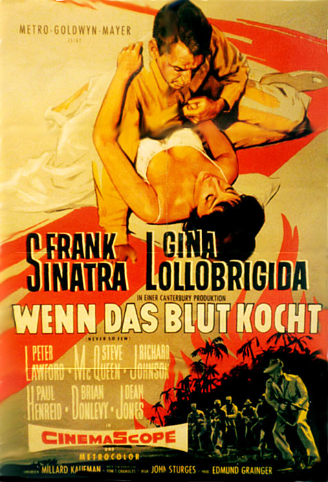 Plakat zum Film: Wenn das Blut kocht