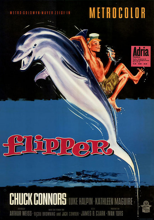 Plakat zum Film: Flipper