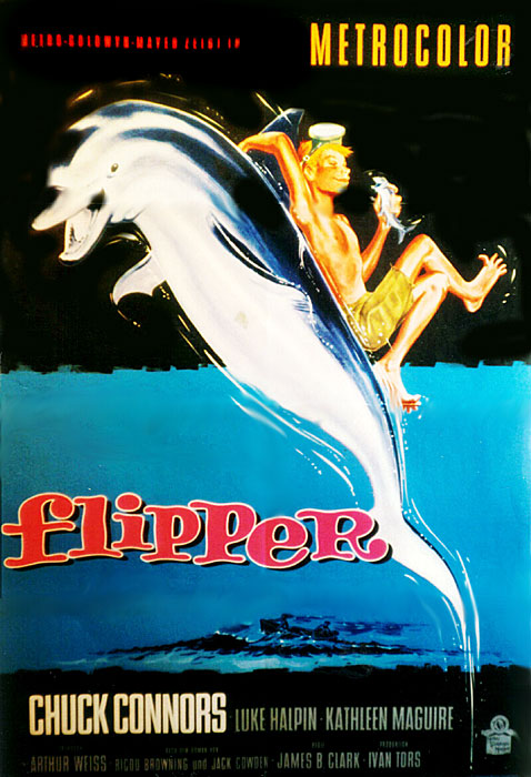 Plakat zum Film: Flipper