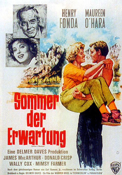 Plakat zum Film: Sommer der Erwartung