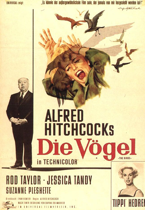 Plakat zum Film: Vögel, Die