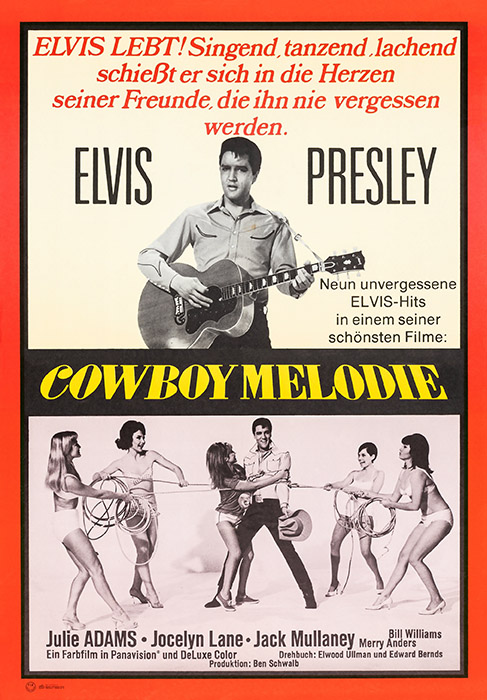 Plakat zum Film: Cowboy Melodie