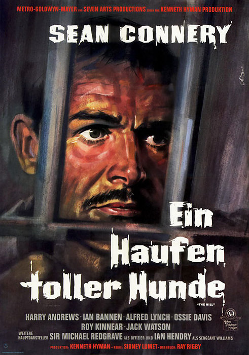 Plakat zum Film: Haufen toller Hunde, Ein