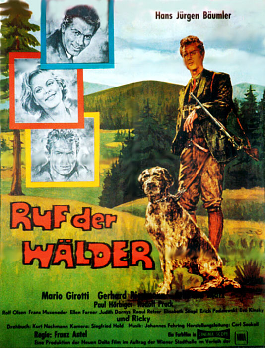 Plakat zum Film: Ruf der Wälder