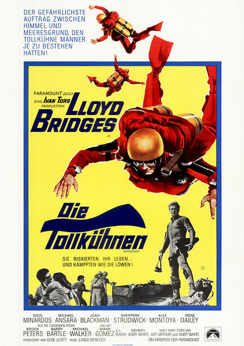 Plakat zum Film: Tollkühnen, Die