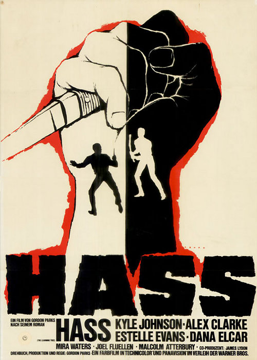 Plakat zum Film: Hass