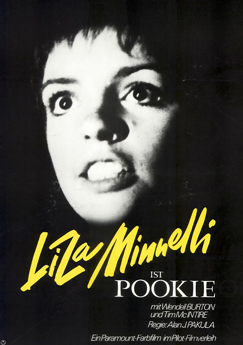 Plakat zum Film: Pookie