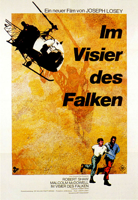 Plakat zum Film: Im Visier des Falken
