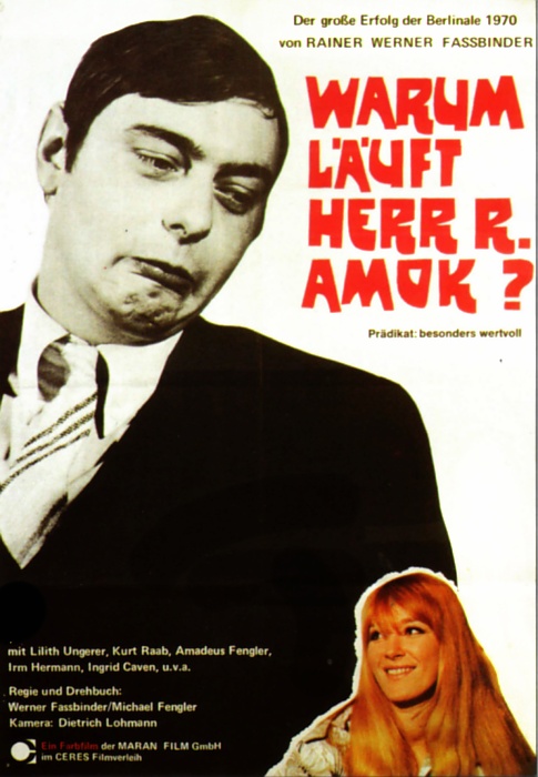 Plakat zum Film: Warum läuft Herr R. Amok?