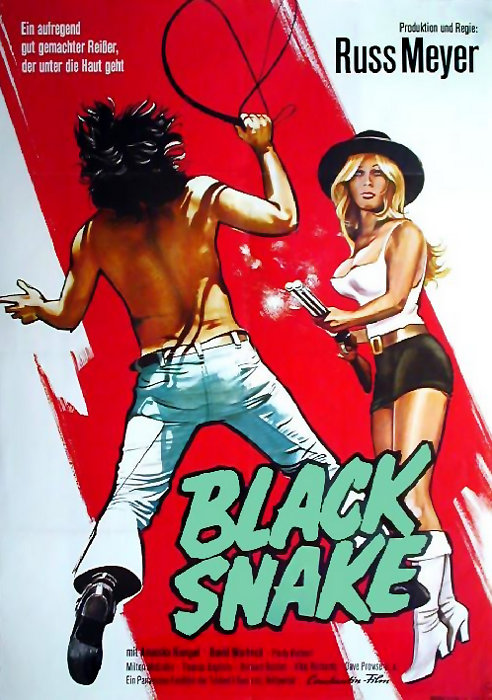 Plakat zum Film: Black Snake