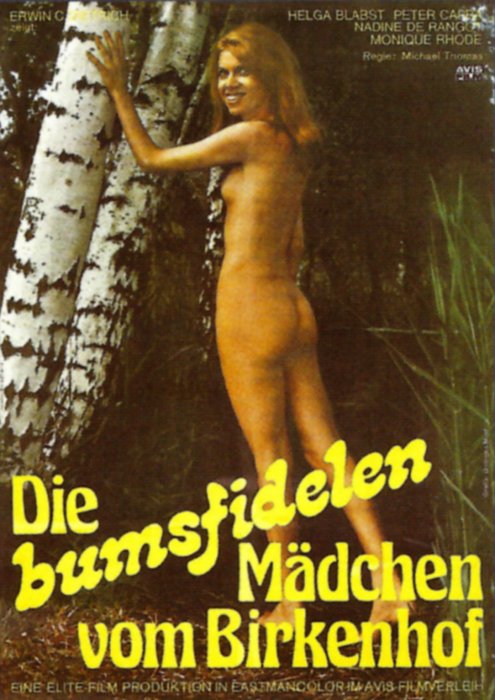 Plakat zum Film: bumsfidelen Mädchen vom Birkenhof, Die