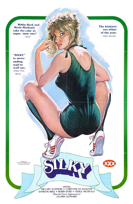 Plakat zum Film: Silky