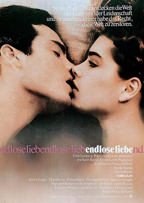 Plakat zum Film: Endlose Liebe