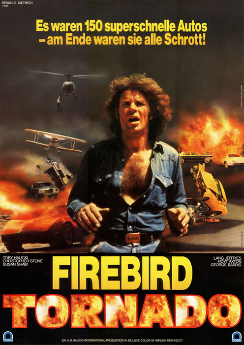 Plakat zum Film: Firebird Tornado