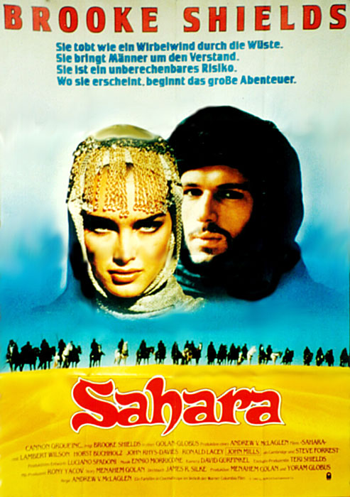 Plakat zum Film: Sahara