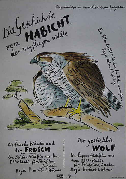 Plakat zum Film: Geschichte vom Habicht, der wegfliegen wollte, Die