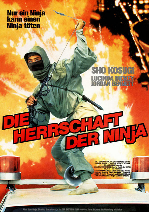 Plakat zum Film: Herrschaft der Ninja, Die