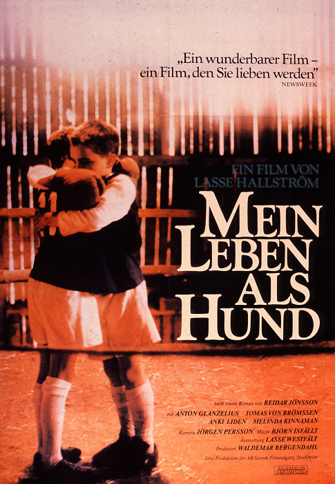 Plakat zum Film: Mein Leben als Hund