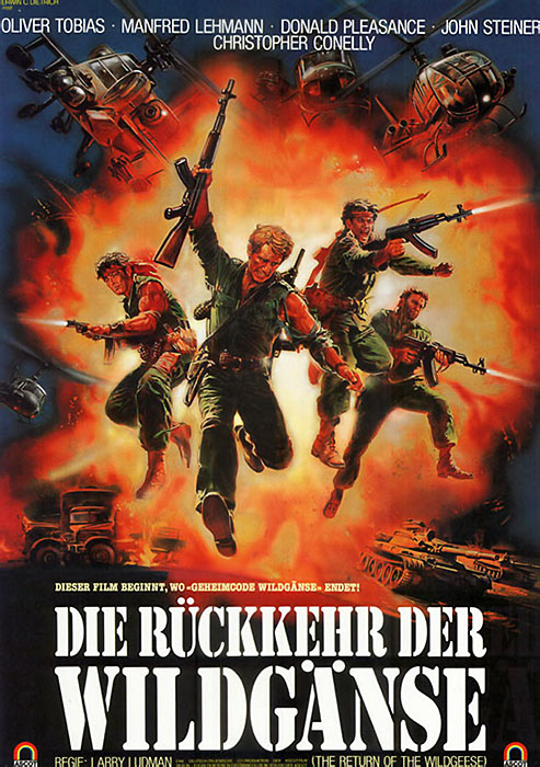 Plakat zum Film: Rückkehr der Wildgänse, Die