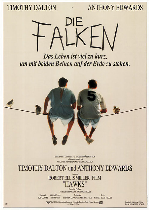 Plakat zum Film: Falken, Die