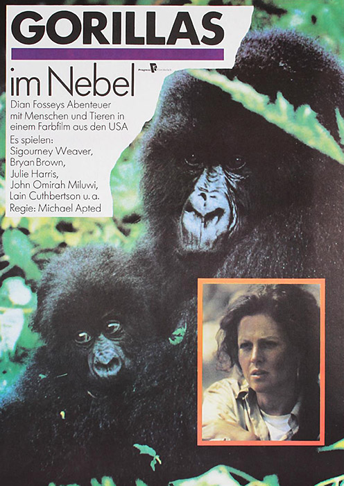 Plakat zum Film: Gorillas im Nebel