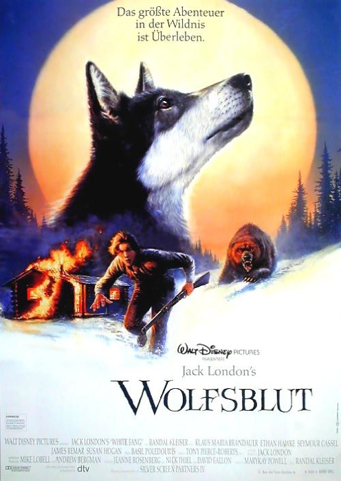 Plakat zum Film: Wolfsblut