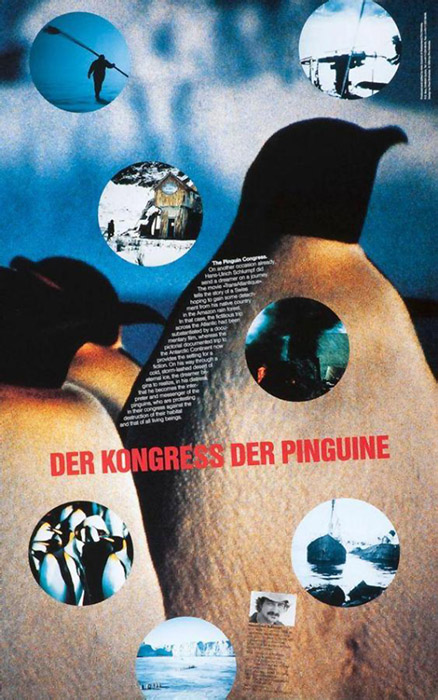 Plakat zum Film: Kongress der Pinguine, Der