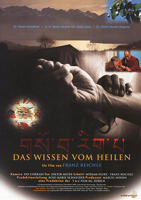 Plakat zum Film: Wissen vom Heilen, Das