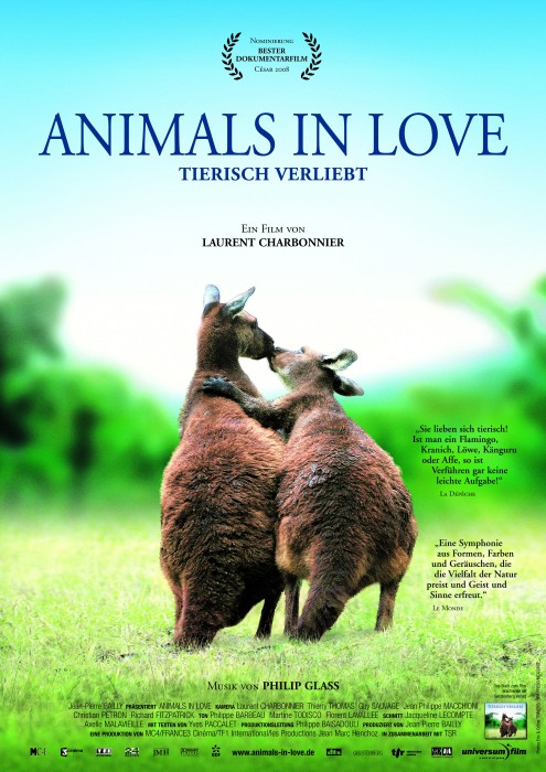 Plakat zum Film: Animals in Love