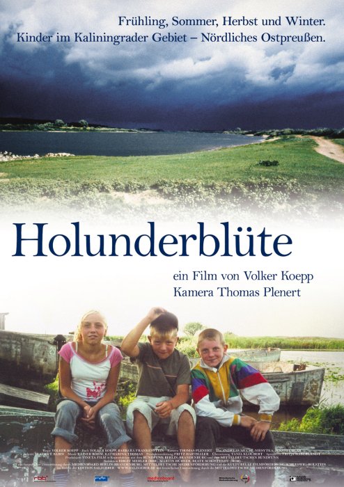 Plakat zum Film: Holunderblüte