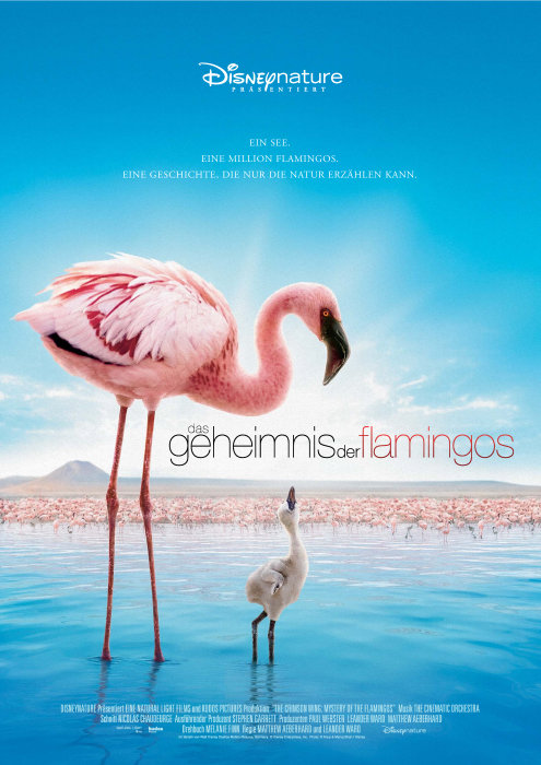 Plakat zum Film: Geheimnis der Flamingos, Das