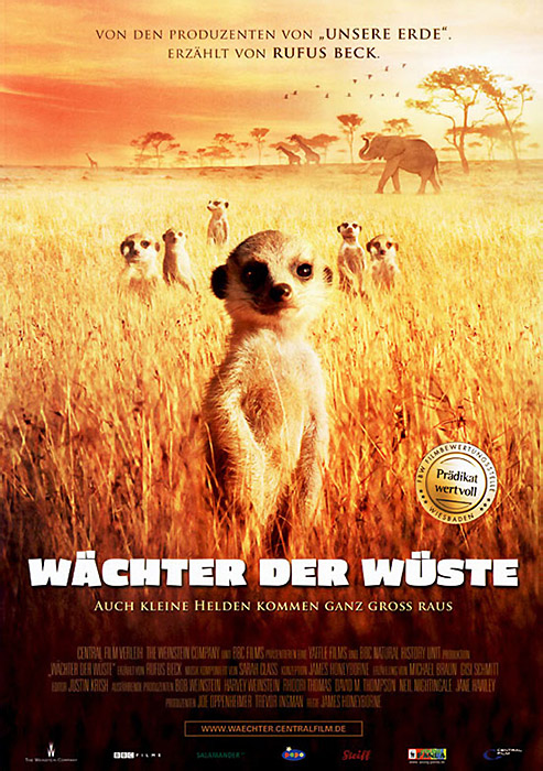 Plakat zum Film: Wächter der Wüste