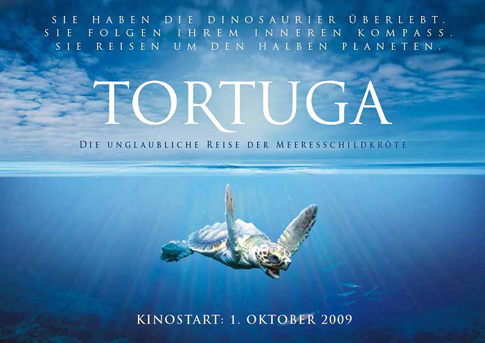 Plakat zum Film: Tortuga - Die unglaubliche Reise der Meeresschildkröte