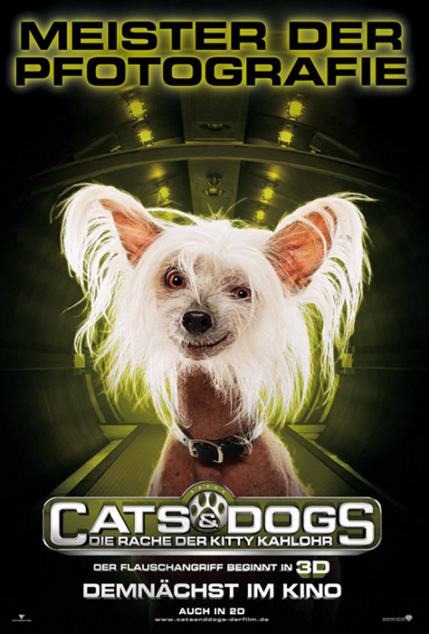 Plakat zum Film: Cats & Dogs - Die Rache der Kitty Kahlohr