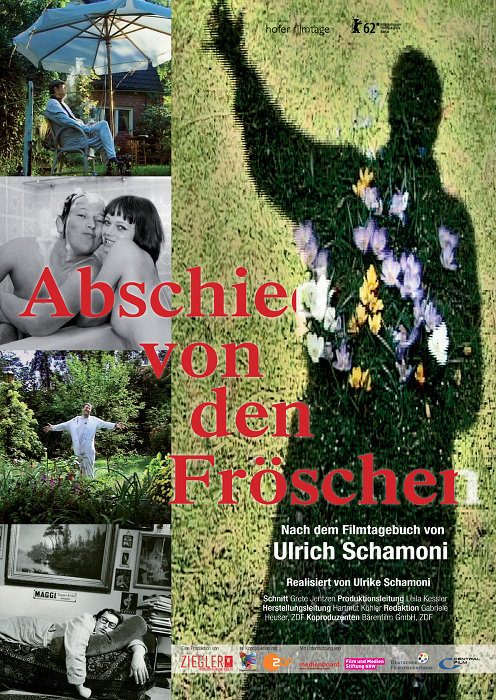 Plakat zum Film: Abschied von den Fröschen