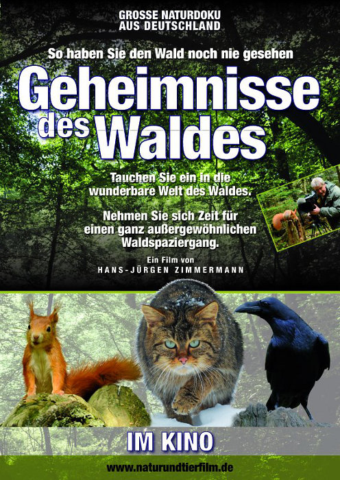 Plakat zum Film: Geheimnisse des Waldes