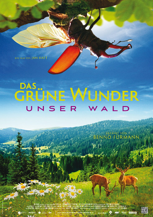 Plakat zum Film: Unser Wald - Das grüne Wunder