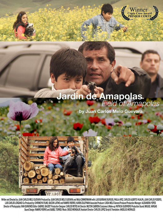 Plakat zum Film: Field of Amapolas