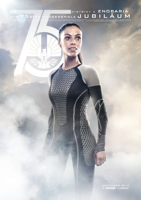 Plakat zum Film: Tribute von Panem - Catching Fire, Die