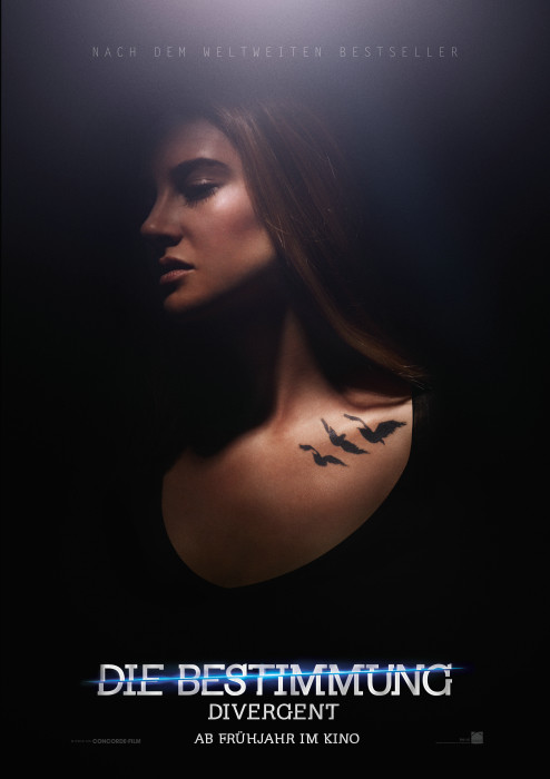 Plakat zum Film: Bestimmung, Die - Divergent