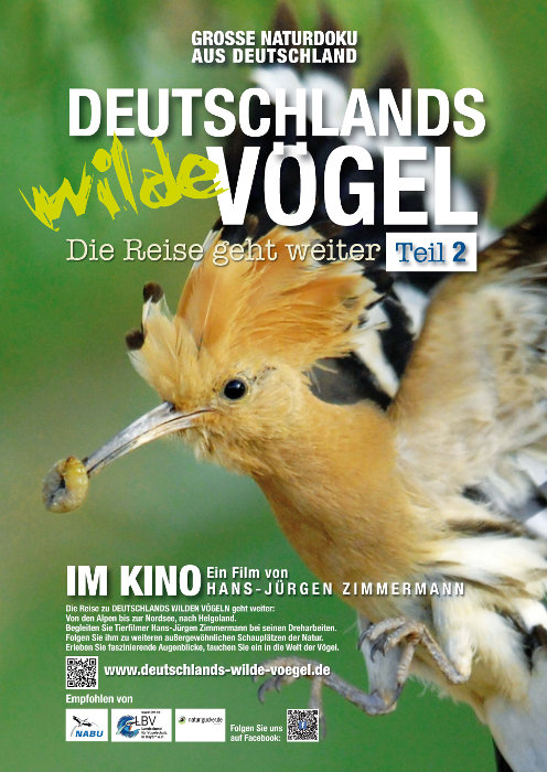 Plakat zum Film: Deutschlands wilde Vögel - Teil 2: Die Reise geht weiter