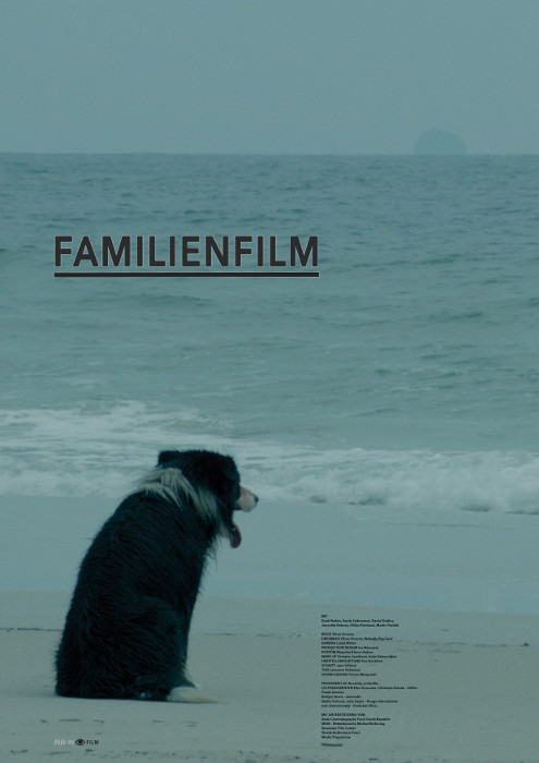 Plakat zum Film: Familienfilm