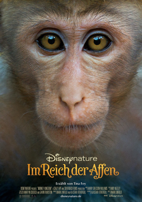 Plakat zum Film: Im Reich der Affen
