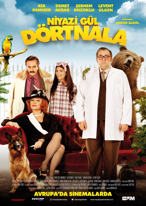 Plakat zum Film: Niyazi Gül Dörtnala