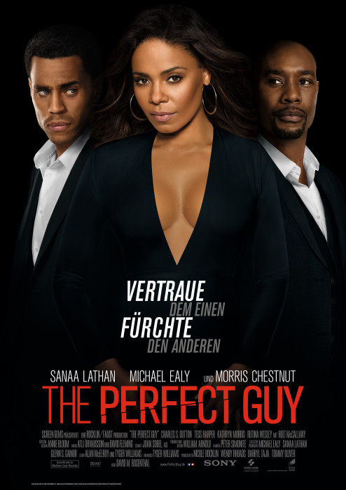 Plakat zum Film: Perfect Guy, The
