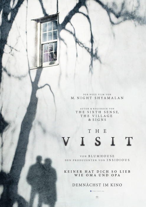 Plakat zum Film: Visit, The